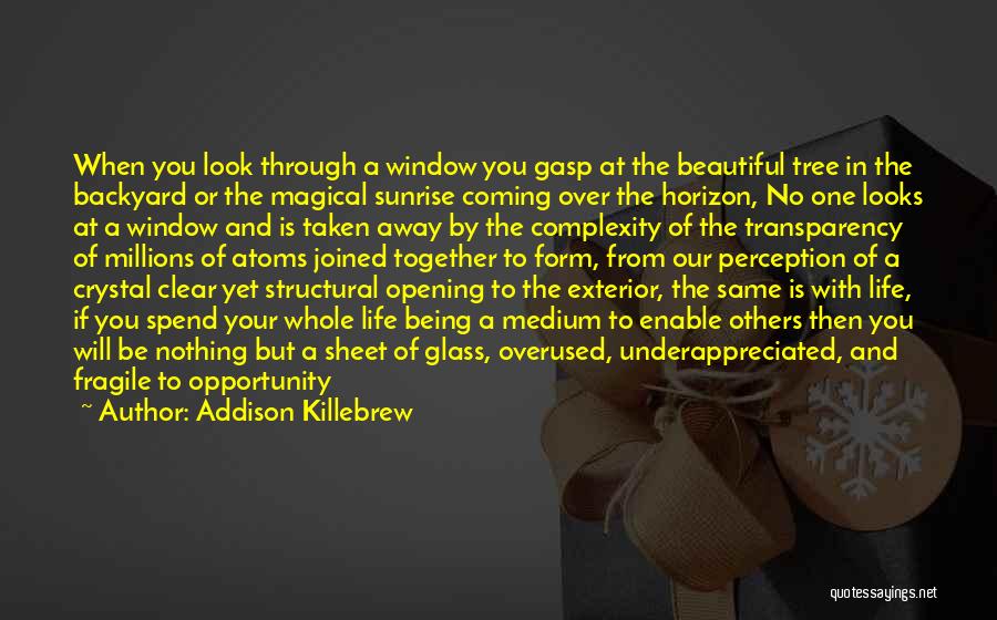 Addison Killebrew Quotes: When You Look Through A Window You Gasp At The Beautiful Tree In The Backyard Or The Magical Sunrise Coming