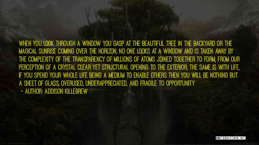 Addison Killebrew Quotes: When You Look Through A Window You Gasp At The Beautiful Tree In The Backyard Or The Magical Sunrise Coming