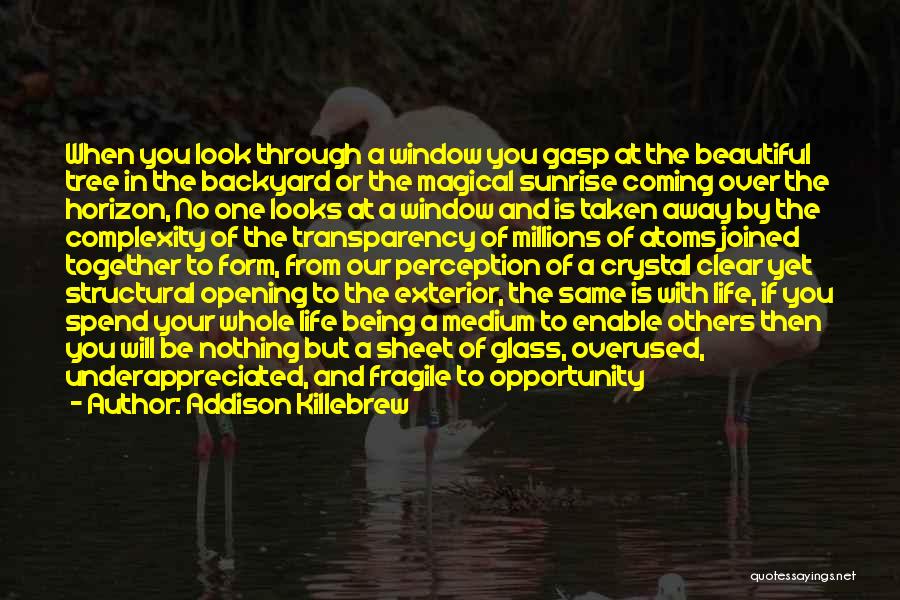 Addison Killebrew Quotes: When You Look Through A Window You Gasp At The Beautiful Tree In The Backyard Or The Magical Sunrise Coming