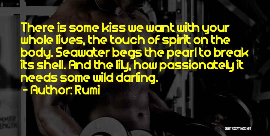 Rumi Quotes: There Is Some Kiss We Want With Your Whole Lives, The Touch Of Spirit On The Body. Seawater Begs The