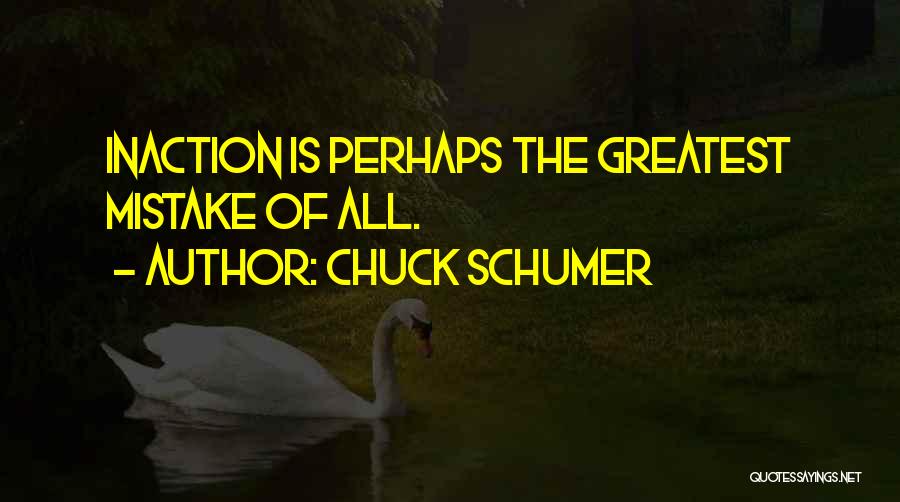 Chuck Schumer Quotes: Inaction Is Perhaps The Greatest Mistake Of All.