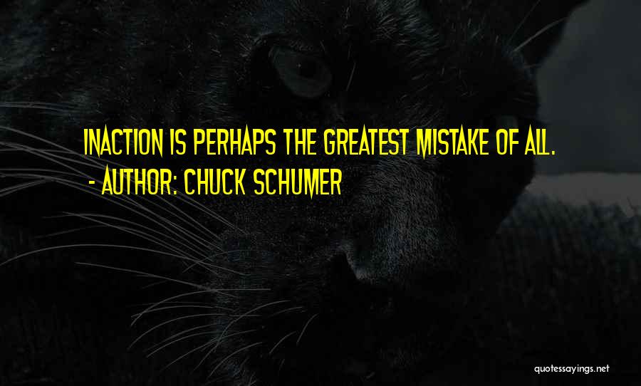 Chuck Schumer Quotes: Inaction Is Perhaps The Greatest Mistake Of All.