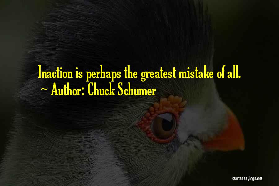 Chuck Schumer Quotes: Inaction Is Perhaps The Greatest Mistake Of All.