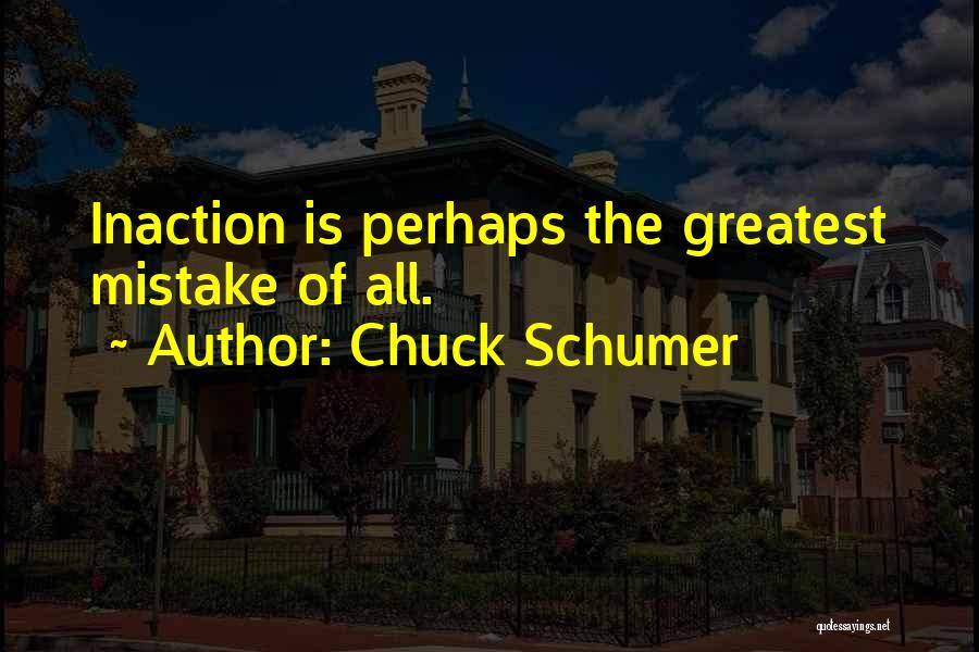 Chuck Schumer Quotes: Inaction Is Perhaps The Greatest Mistake Of All.