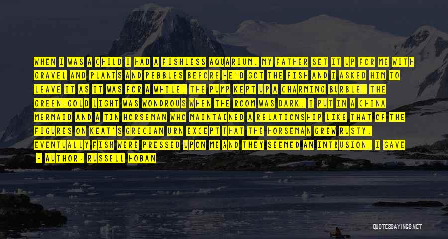 Russell Hoban Quotes: When I Was A Child I Had A Fishless Aquarium. My Father Set It Up For Me With Gravel And