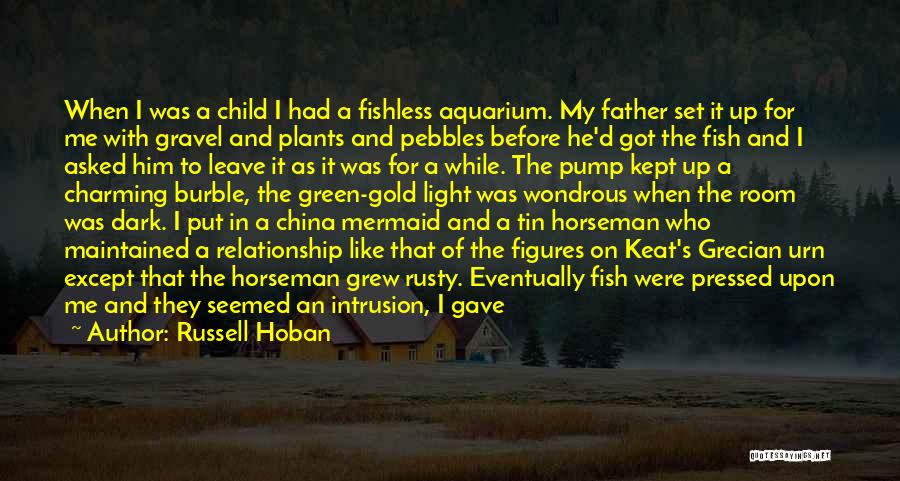 Russell Hoban Quotes: When I Was A Child I Had A Fishless Aquarium. My Father Set It Up For Me With Gravel And