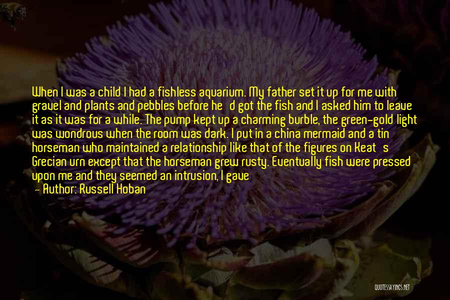 Russell Hoban Quotes: When I Was A Child I Had A Fishless Aquarium. My Father Set It Up For Me With Gravel And