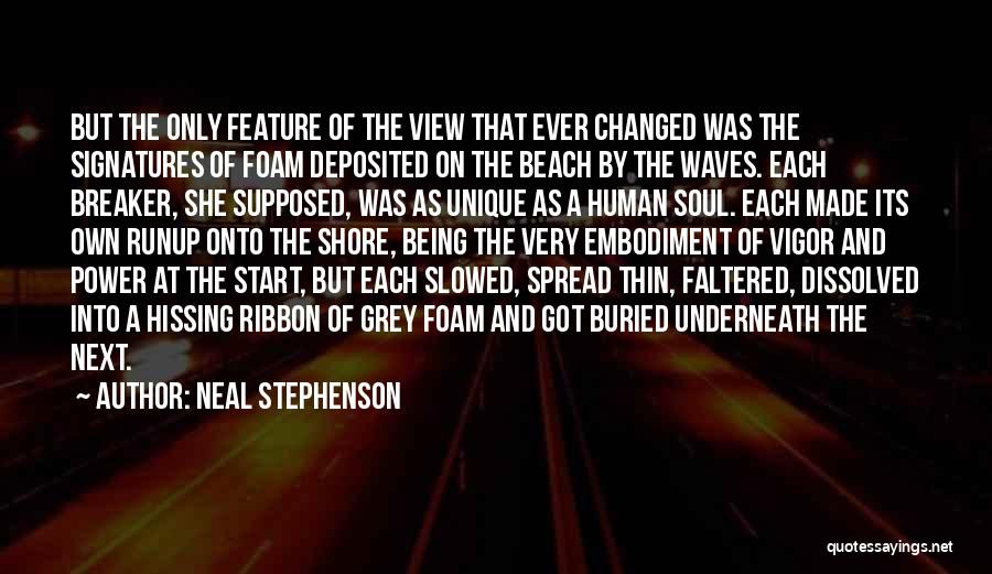 Neal Stephenson Quotes: But The Only Feature Of The View That Ever Changed Was The Signatures Of Foam Deposited On The Beach By