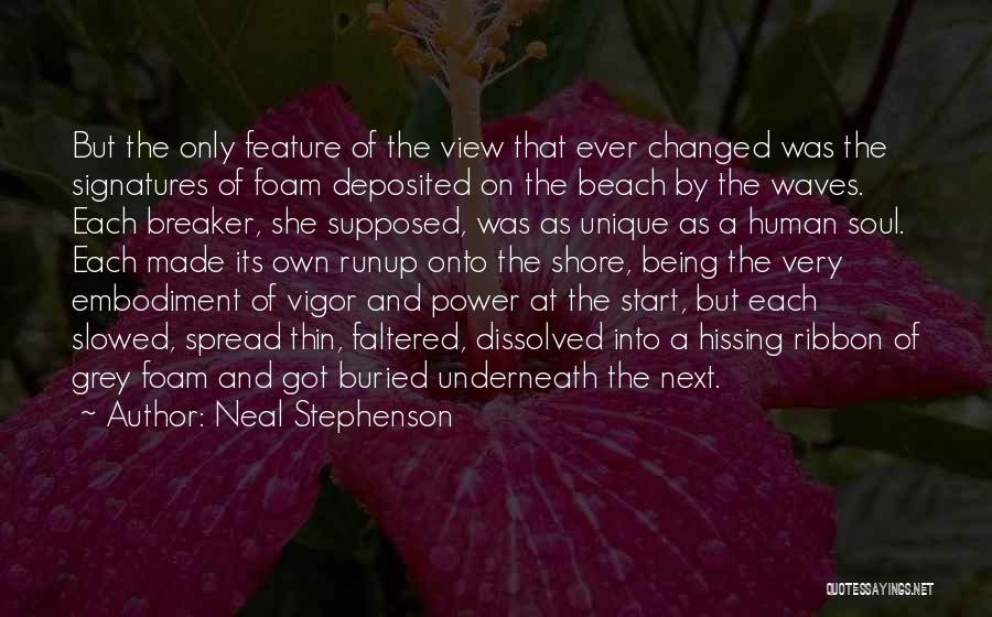 Neal Stephenson Quotes: But The Only Feature Of The View That Ever Changed Was The Signatures Of Foam Deposited On The Beach By