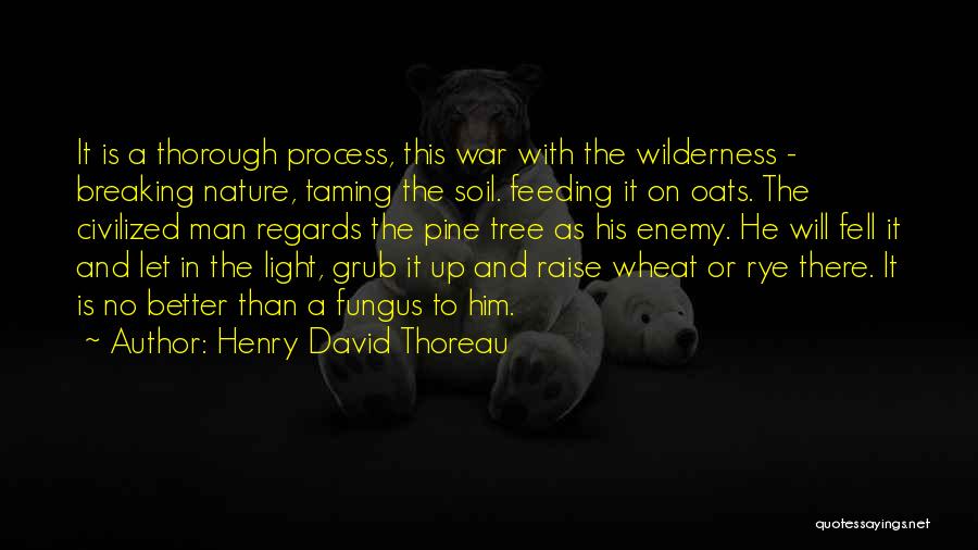 Henry David Thoreau Quotes: It Is A Thorough Process, This War With The Wilderness - Breaking Nature, Taming The Soil. Feeding It On Oats.