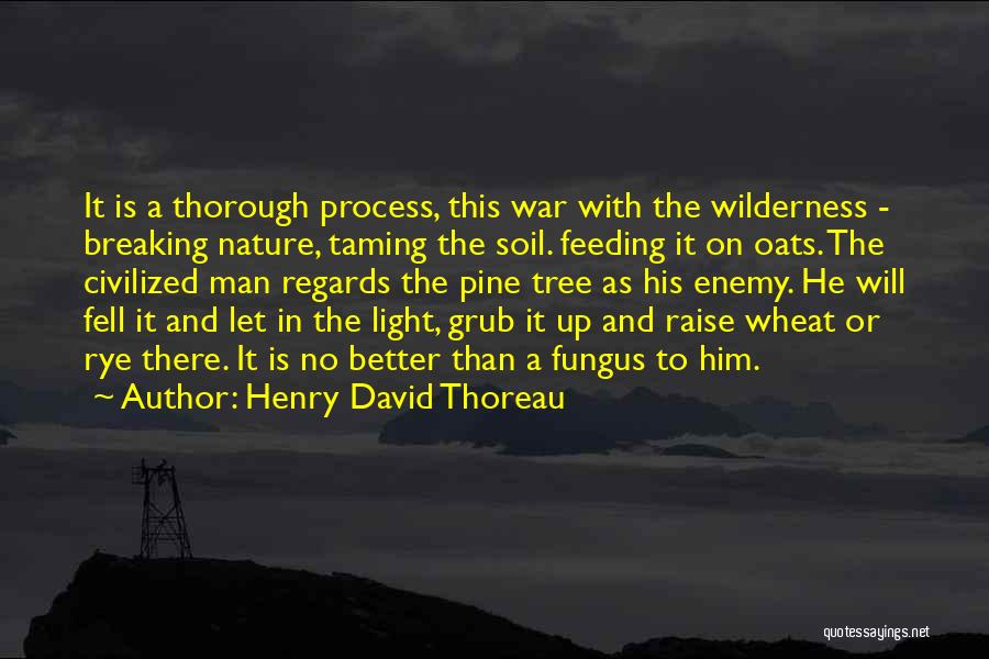 Henry David Thoreau Quotes: It Is A Thorough Process, This War With The Wilderness - Breaking Nature, Taming The Soil. Feeding It On Oats.