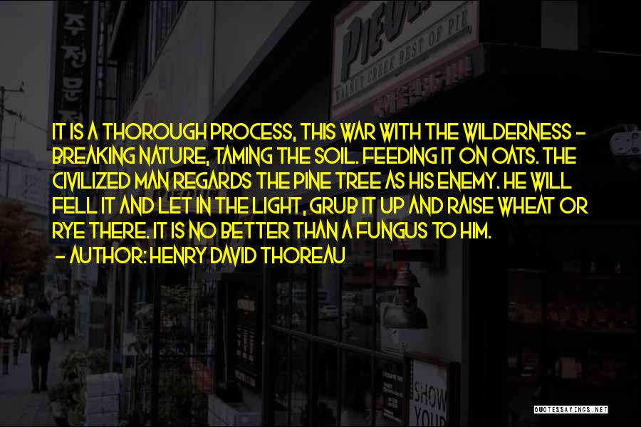 Henry David Thoreau Quotes: It Is A Thorough Process, This War With The Wilderness - Breaking Nature, Taming The Soil. Feeding It On Oats.