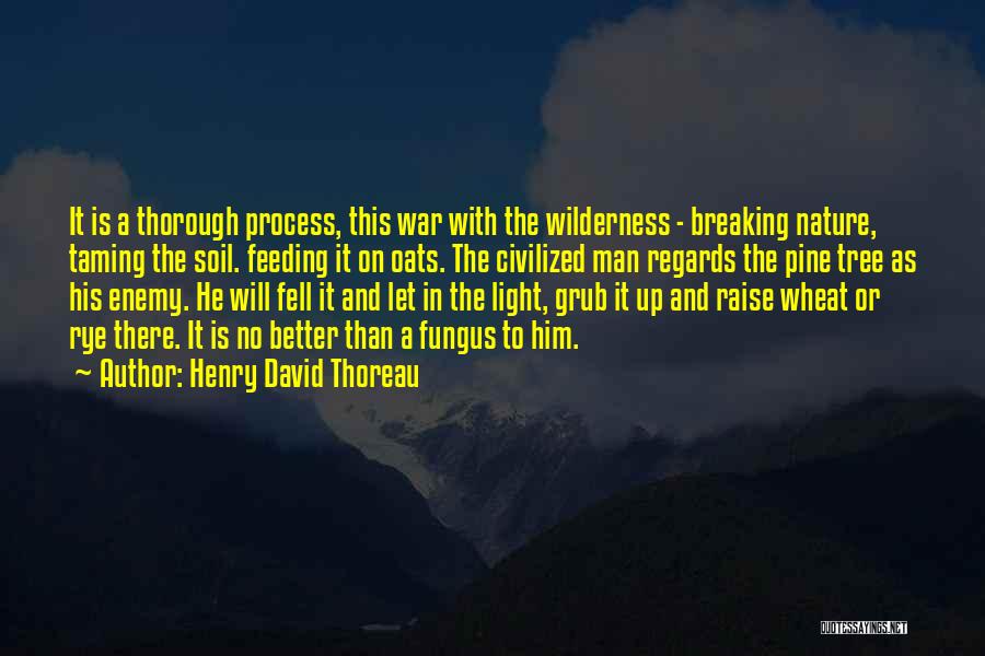 Henry David Thoreau Quotes: It Is A Thorough Process, This War With The Wilderness - Breaking Nature, Taming The Soil. Feeding It On Oats.