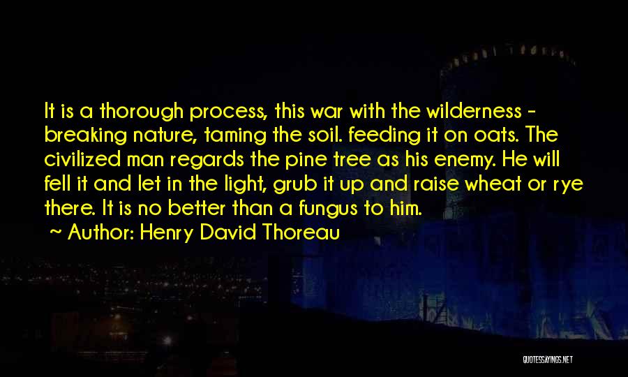 Henry David Thoreau Quotes: It Is A Thorough Process, This War With The Wilderness - Breaking Nature, Taming The Soil. Feeding It On Oats.