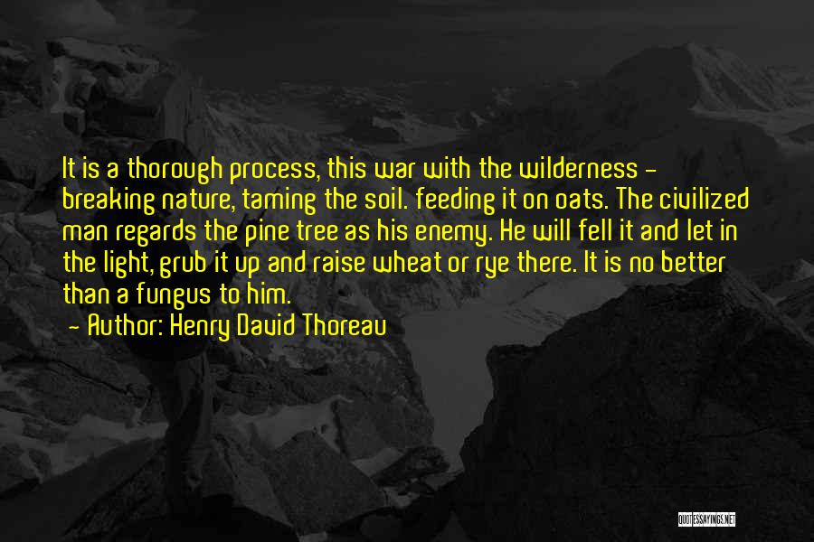 Henry David Thoreau Quotes: It Is A Thorough Process, This War With The Wilderness - Breaking Nature, Taming The Soil. Feeding It On Oats.