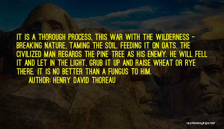 Henry David Thoreau Quotes: It Is A Thorough Process, This War With The Wilderness - Breaking Nature, Taming The Soil. Feeding It On Oats.