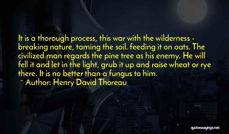 Henry David Thoreau Quotes: It Is A Thorough Process, This War With The Wilderness - Breaking Nature, Taming The Soil. Feeding It On Oats.