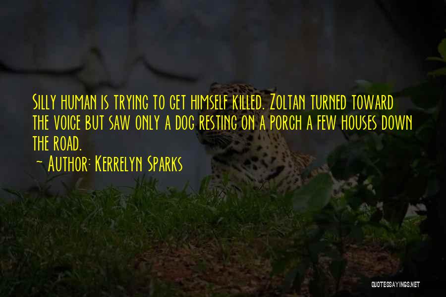 Kerrelyn Sparks Quotes: Silly Human Is Trying To Get Himself Killed. Zoltan Turned Toward The Voice But Saw Only A Dog Resting On