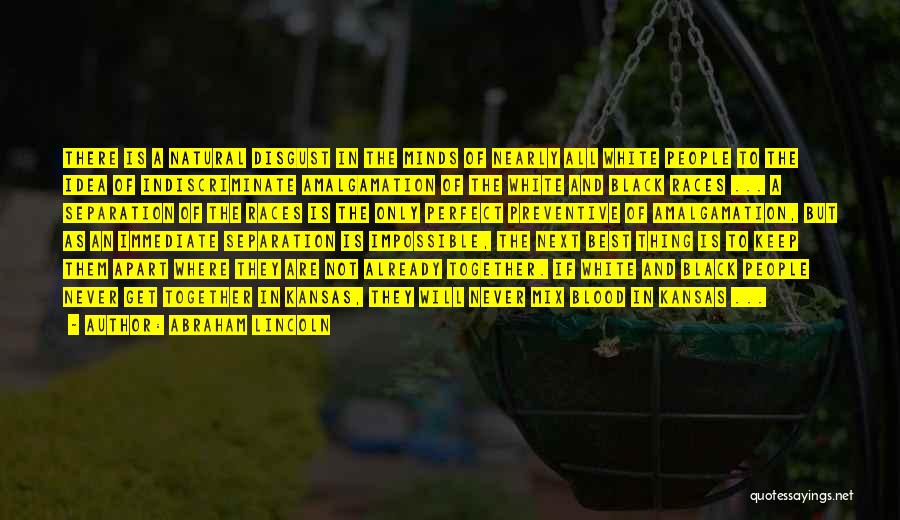 Abraham Lincoln Quotes: There Is A Natural Disgust In The Minds Of Nearly All White People To The Idea Of Indiscriminate Amalgamation Of
