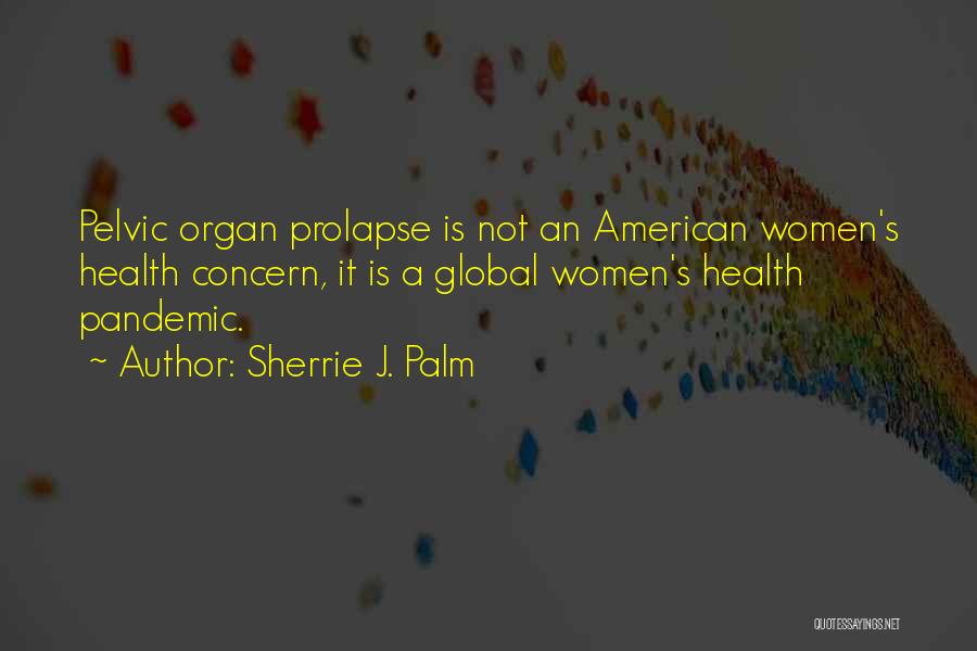 Sherrie J. Palm Quotes: Pelvic Organ Prolapse Is Not An American Women's Health Concern, It Is A Global Women's Health Pandemic.