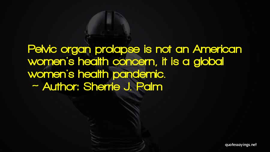 Sherrie J. Palm Quotes: Pelvic Organ Prolapse Is Not An American Women's Health Concern, It Is A Global Women's Health Pandemic.
