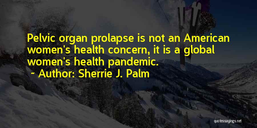 Sherrie J. Palm Quotes: Pelvic Organ Prolapse Is Not An American Women's Health Concern, It Is A Global Women's Health Pandemic.