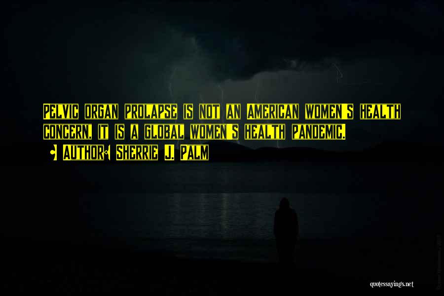 Sherrie J. Palm Quotes: Pelvic Organ Prolapse Is Not An American Women's Health Concern, It Is A Global Women's Health Pandemic.
