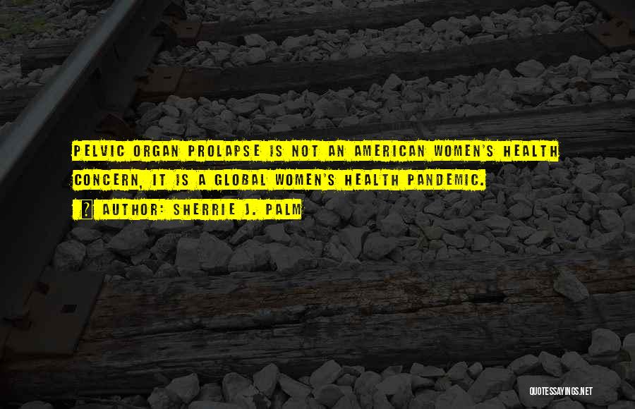 Sherrie J. Palm Quotes: Pelvic Organ Prolapse Is Not An American Women's Health Concern, It Is A Global Women's Health Pandemic.