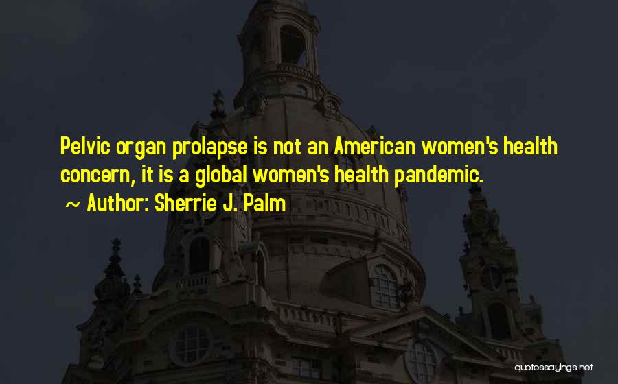 Sherrie J. Palm Quotes: Pelvic Organ Prolapse Is Not An American Women's Health Concern, It Is A Global Women's Health Pandemic.