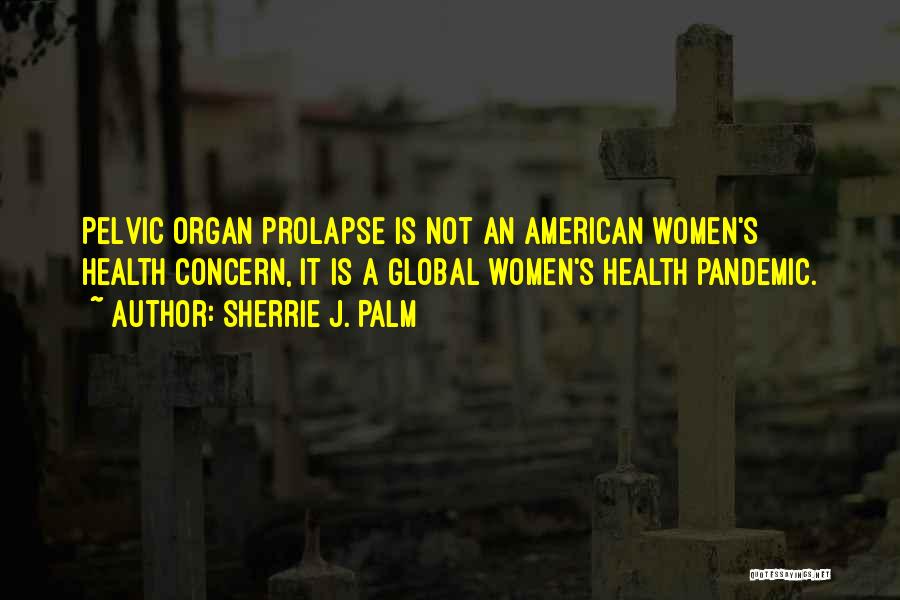 Sherrie J. Palm Quotes: Pelvic Organ Prolapse Is Not An American Women's Health Concern, It Is A Global Women's Health Pandemic.