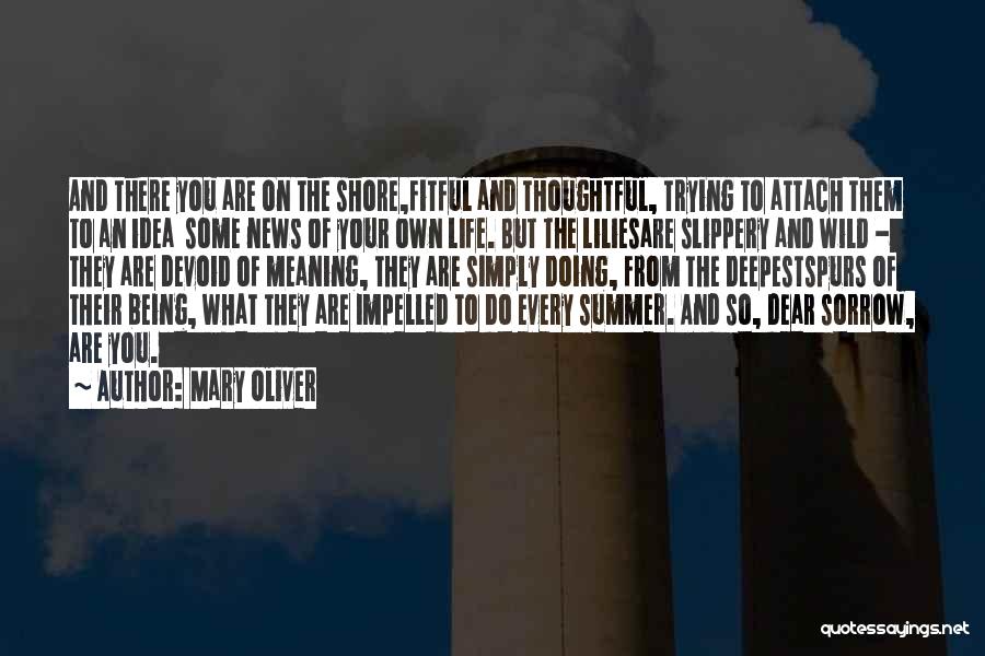 Mary Oliver Quotes: And There You Are On The Shore,fitful And Thoughtful, Trying To Attach Them To An Idea Some News Of Your