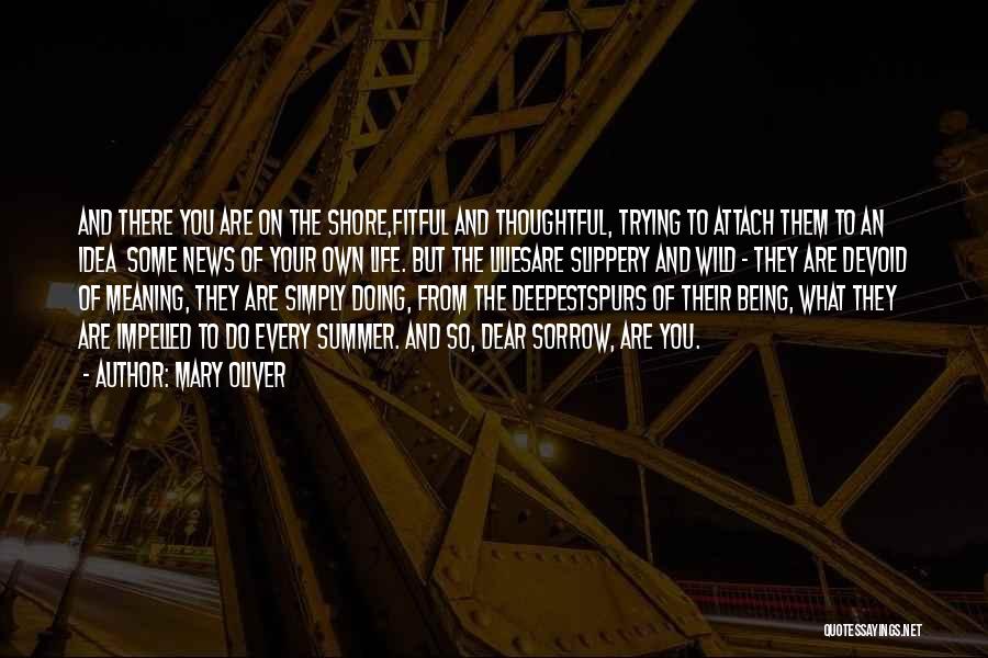 Mary Oliver Quotes: And There You Are On The Shore,fitful And Thoughtful, Trying To Attach Them To An Idea Some News Of Your