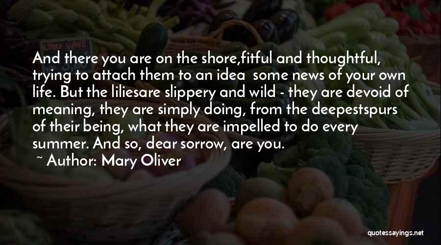 Mary Oliver Quotes: And There You Are On The Shore,fitful And Thoughtful, Trying To Attach Them To An Idea Some News Of Your