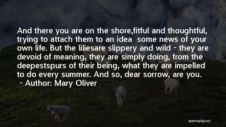 Mary Oliver Quotes: And There You Are On The Shore,fitful And Thoughtful, Trying To Attach Them To An Idea Some News Of Your