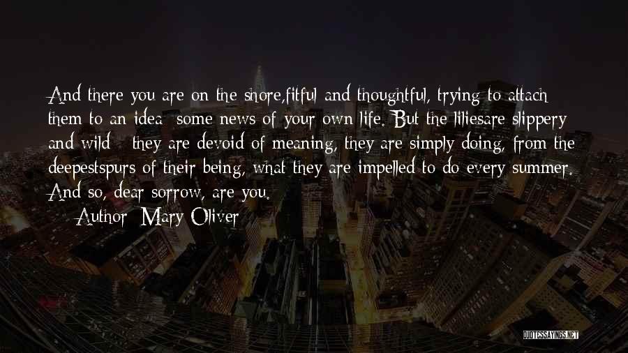 Mary Oliver Quotes: And There You Are On The Shore,fitful And Thoughtful, Trying To Attach Them To An Idea Some News Of Your