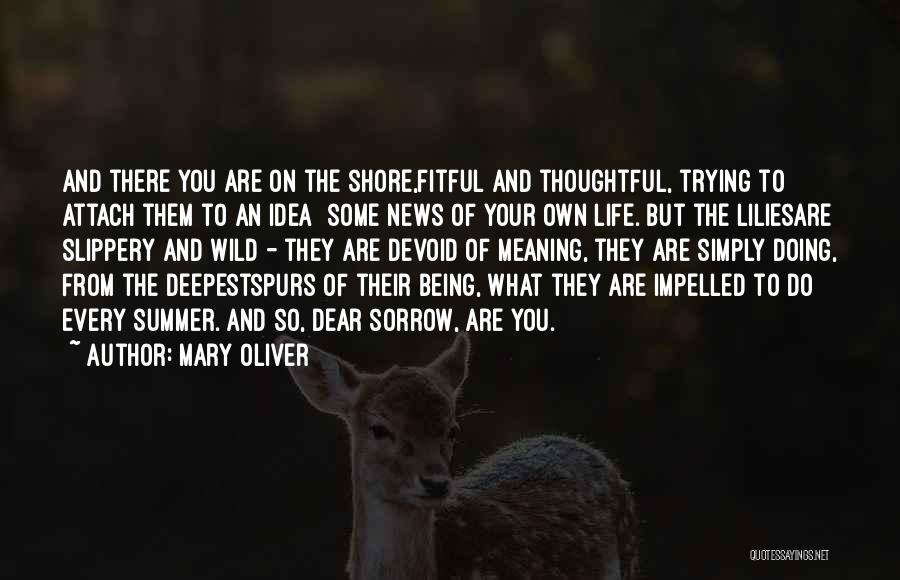 Mary Oliver Quotes: And There You Are On The Shore,fitful And Thoughtful, Trying To Attach Them To An Idea Some News Of Your