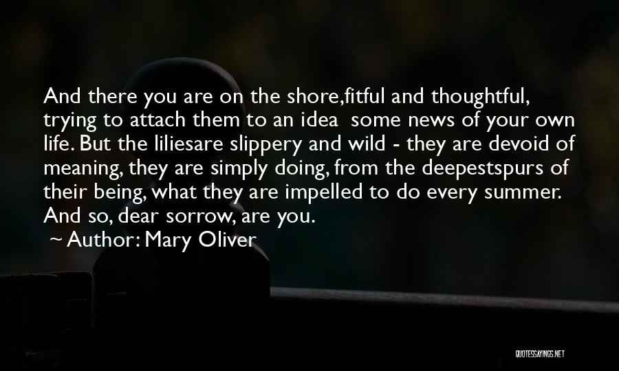 Mary Oliver Quotes: And There You Are On The Shore,fitful And Thoughtful, Trying To Attach Them To An Idea Some News Of Your