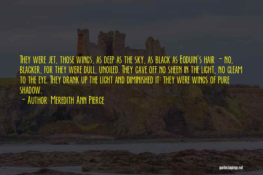 Meredith Ann Pierce Quotes: They Were Jet, Those Wings, As Deep As The Sky, As Black As Eoduin's Hair - No, Blacker, For They