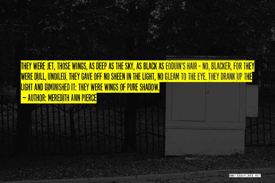 Meredith Ann Pierce Quotes: They Were Jet, Those Wings, As Deep As The Sky, As Black As Eoduin's Hair - No, Blacker, For They