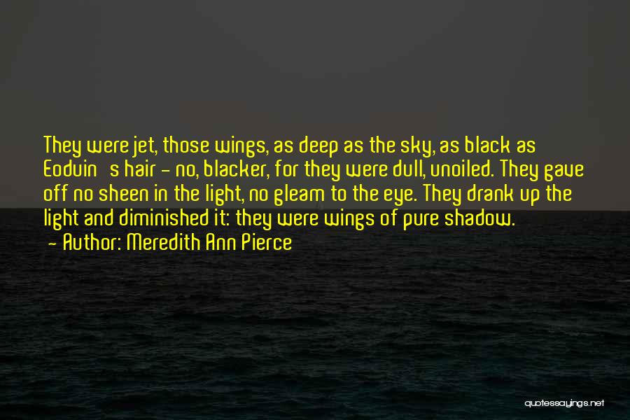 Meredith Ann Pierce Quotes: They Were Jet, Those Wings, As Deep As The Sky, As Black As Eoduin's Hair - No, Blacker, For They