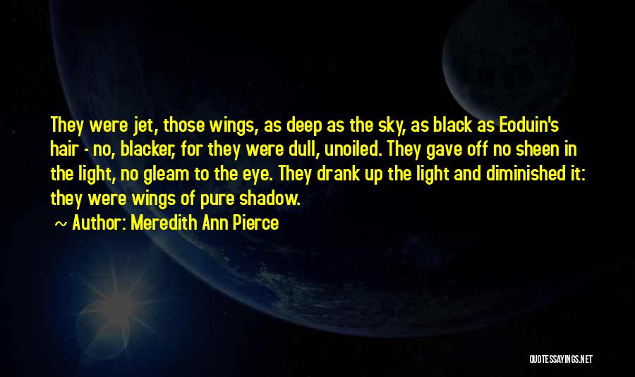 Meredith Ann Pierce Quotes: They Were Jet, Those Wings, As Deep As The Sky, As Black As Eoduin's Hair - No, Blacker, For They