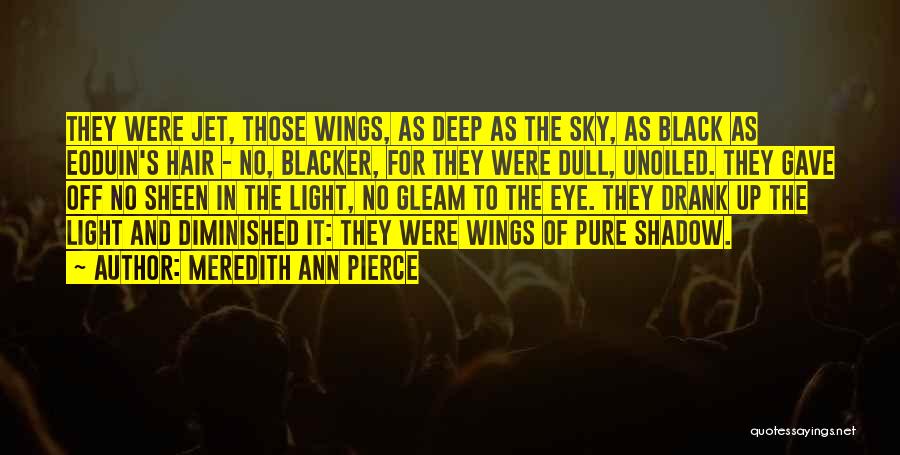 Meredith Ann Pierce Quotes: They Were Jet, Those Wings, As Deep As The Sky, As Black As Eoduin's Hair - No, Blacker, For They