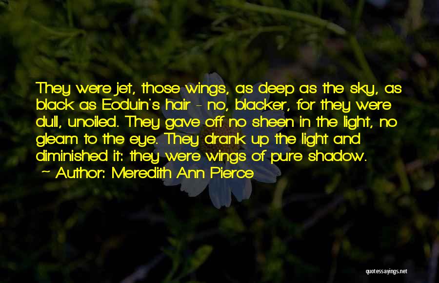 Meredith Ann Pierce Quotes: They Were Jet, Those Wings, As Deep As The Sky, As Black As Eoduin's Hair - No, Blacker, For They