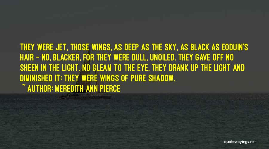 Meredith Ann Pierce Quotes: They Were Jet, Those Wings, As Deep As The Sky, As Black As Eoduin's Hair - No, Blacker, For They