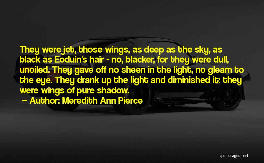 Meredith Ann Pierce Quotes: They Were Jet, Those Wings, As Deep As The Sky, As Black As Eoduin's Hair - No, Blacker, For They