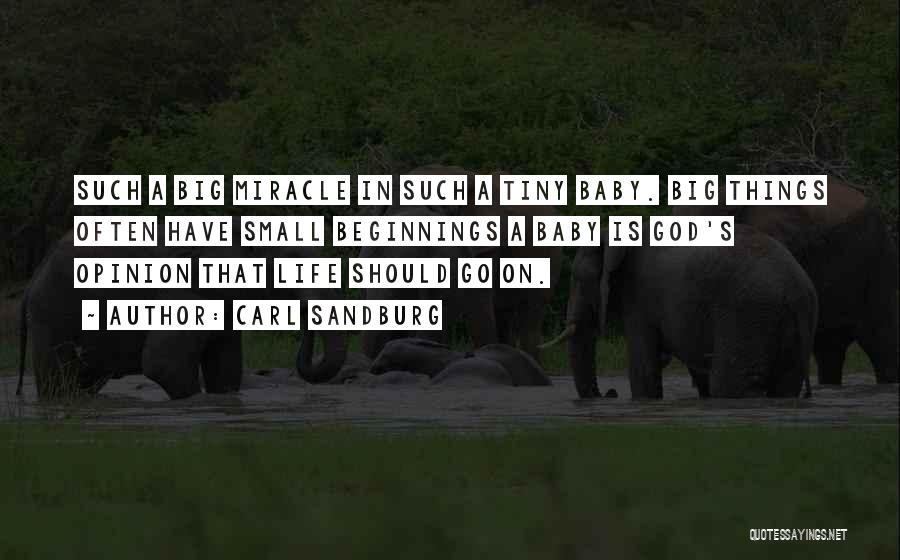 Carl Sandburg Quotes: Such A Big Miracle In Such A Tiny Baby. Big Things Often Have Small Beginnings A Baby Is God's Opinion