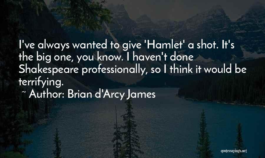 Brian D'Arcy James Quotes: I've Always Wanted To Give 'hamlet' A Shot. It's The Big One, You Know. I Haven't Done Shakespeare Professionally, So