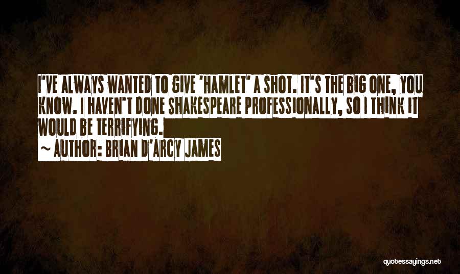 Brian D'Arcy James Quotes: I've Always Wanted To Give 'hamlet' A Shot. It's The Big One, You Know. I Haven't Done Shakespeare Professionally, So