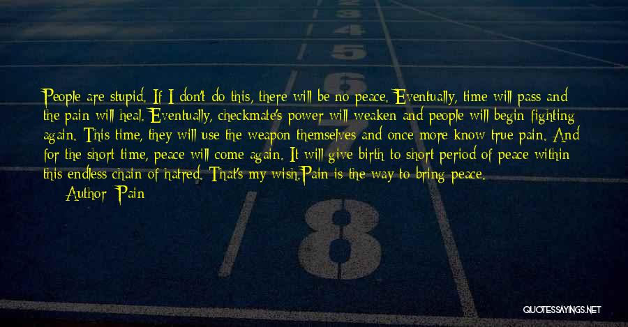 Pain Quotes: People Are Stupid. If I Don't Do This, There Will Be No Peace. Eventually, Time Will Pass And The Pain