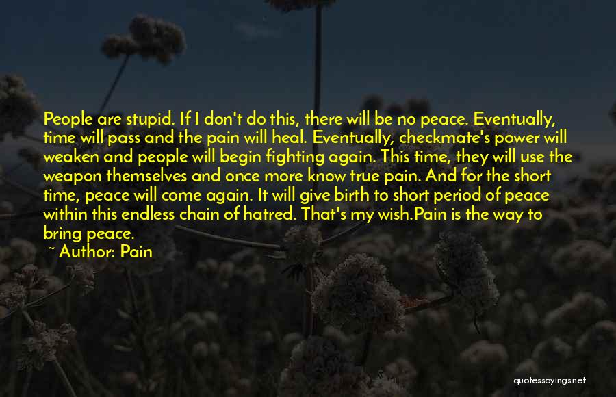 Pain Quotes: People Are Stupid. If I Don't Do This, There Will Be No Peace. Eventually, Time Will Pass And The Pain